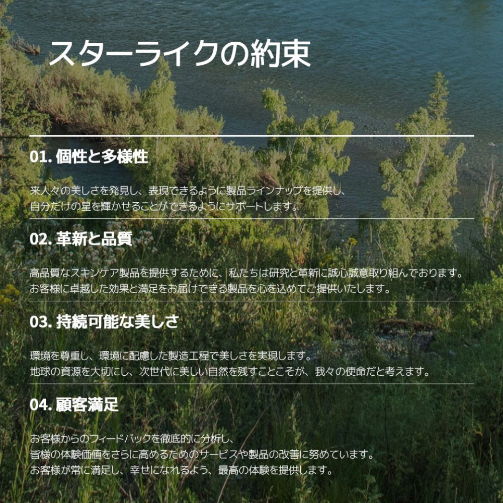 starlike スターライク ナイアシンアミド 21% ポアセラム30ml 美容液 高含量 ナイアシンアミド 21％ ゼロ毛穴 毛穴 毛穴ケア 毛穴レス 黒ずみ たるみ 美容液 透明感 無着色 無香料